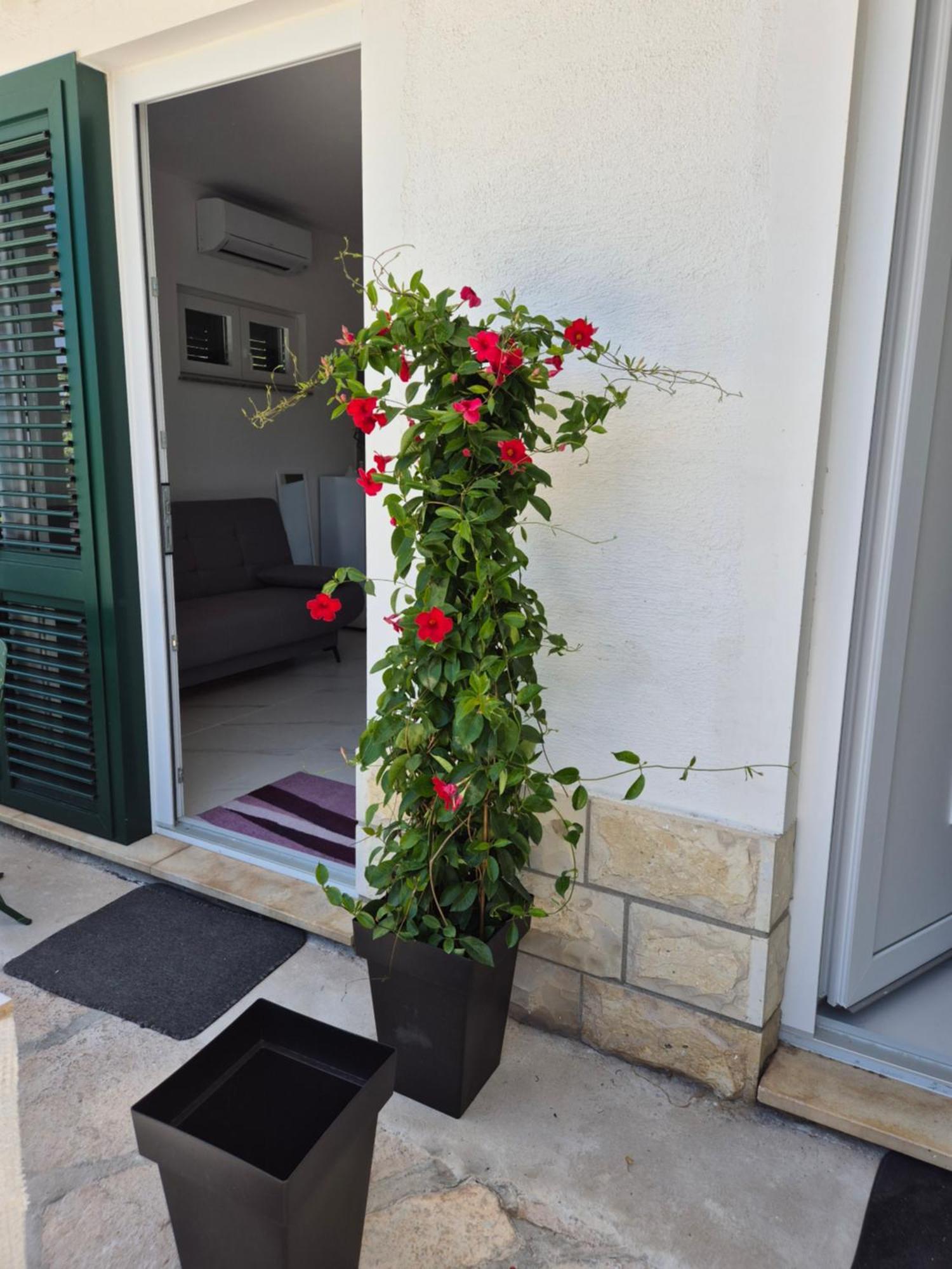 Apartman Bauer - Omis- Nemira Екстериор снимка